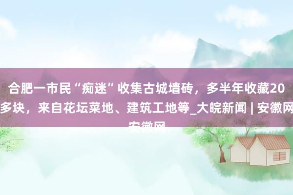 合肥一市民“痴迷”收集古城墙砖，多半年收藏20多块，来自花坛菜地、建筑工地等_大皖新闻 | 安徽网