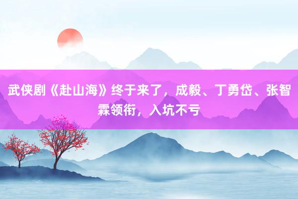 武侠剧《赴山海》终于来了，成毅、丁勇岱、张智霖领衔，入坑不亏