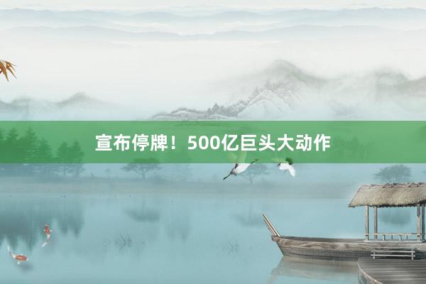 宣布停牌！500亿巨头大动作