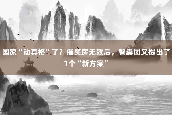 国家“动真格”了？催买房无效后，智囊团又提出了1个“新方案”