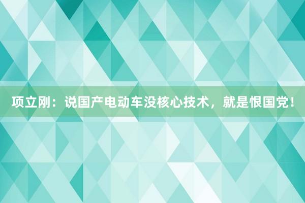 项立刚：说国产电动车没核心技术，就是恨国党！