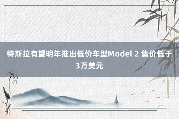 特斯拉有望明年推出低价车型Model 2 售价低于3万美元