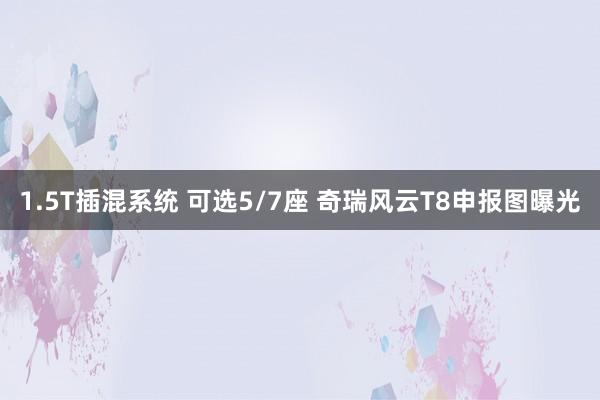 1.5T插混系统 可选5/7座 奇瑞风云T8申报图曝光