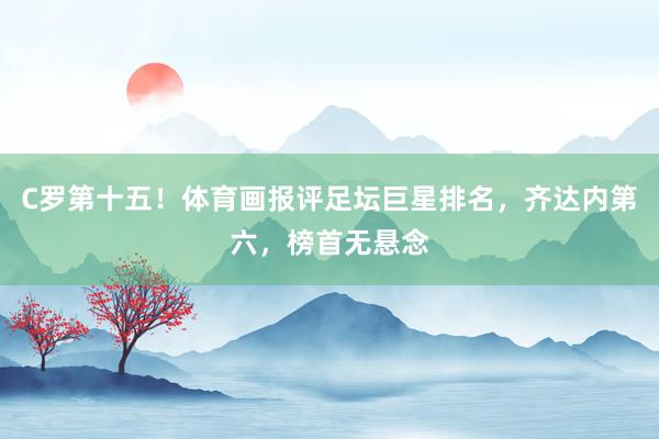 C罗第十五！体育画报评足坛巨星排名，齐达内第六，榜首无悬念