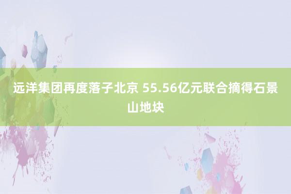 远洋集团再度落子北京 55.56亿元联合摘得石景山地块