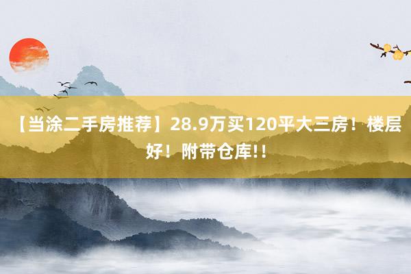 【当涂二手房推荐】28.9万买120平大三房！楼层好！附带仓库!！