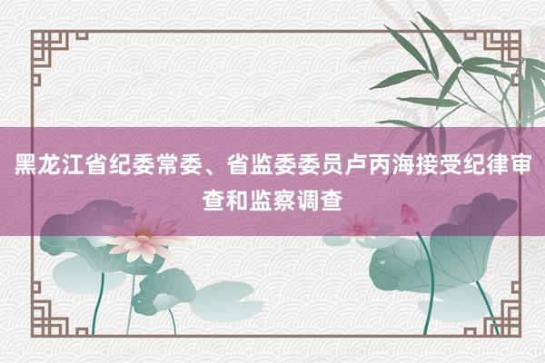 黑龙江省纪委常委、省监委委员卢丙海接受纪律审查和监察调查