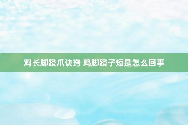 鸡长脚蹬爪诀窍 鸡脚蹬子短是怎么回事