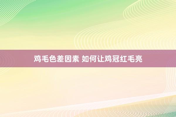 鸡毛色差因素 如何让鸡冠红毛亮