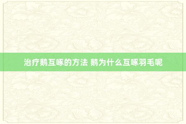 治疗鹅互啄的方法 鹅为什么互啄羽毛呢