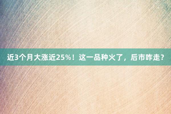 近3个月大涨近25%！这一品种火了，后市咋走？