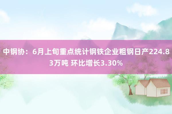 中钢协：6月上旬重点统计钢铁企业粗钢日产224.83万吨 环比增长3.30%