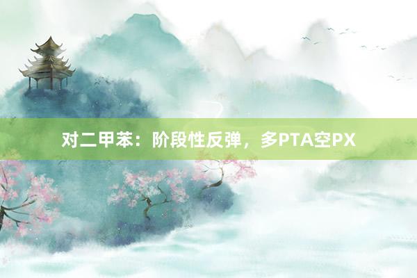 对二甲苯：阶段性反弹，多PTA空PX