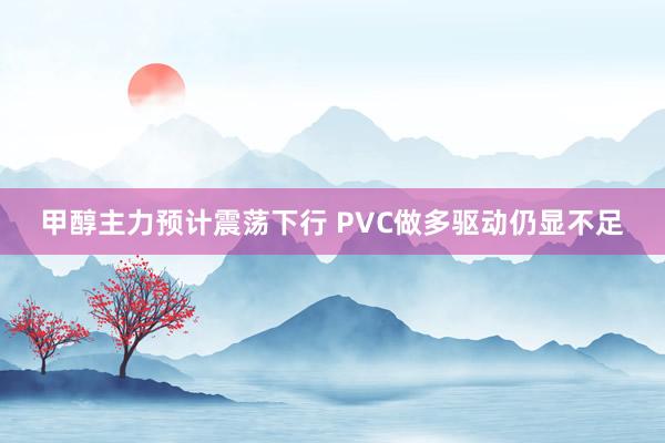 甲醇主力预计震荡下行 PVC做多驱动仍显不足