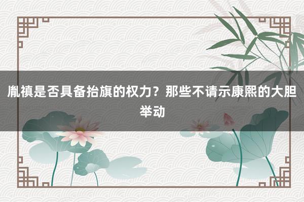 胤禛是否具备抬旗的权力？那些不请示康熙的大胆举动