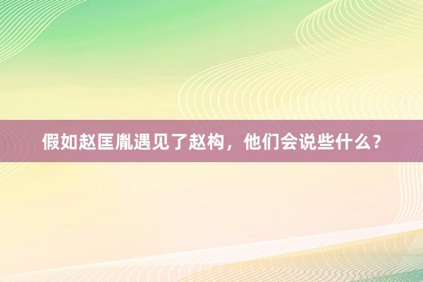 假如赵匡胤遇见了赵构，他们会说些什么？