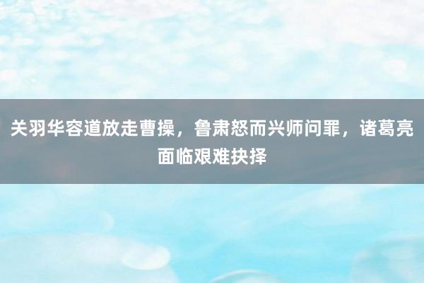 关羽华容道放走曹操，鲁肃怒而兴师问罪，诸葛亮面临艰难抉择