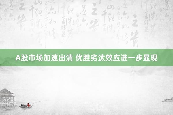 A股市场加速出清 优胜劣汰效应进一步显现