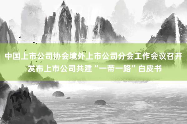 中国上市公司协会境外上市公司分会工作会议召开 发布上市公司共建“一带一路”白皮书