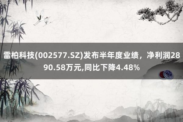 雷柏科技(002577.SZ)发布半年度业绩，净利润2890.58万元,同比下降4.48%