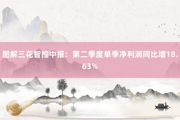 图解三花智控中报：第二季度单季净利润同比增18.63%