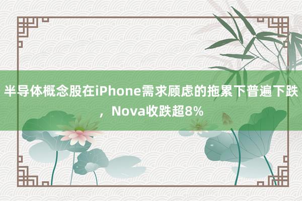 半导体概念股在iPhone需求顾虑的拖累下普遍下跌，Nova收跌超8%