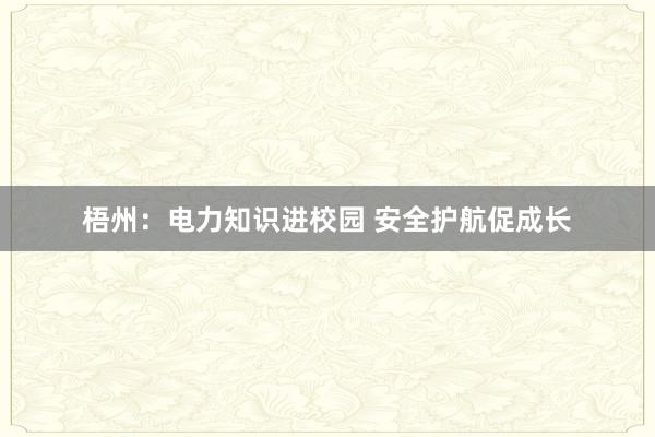 梧州：电力知识进校园 安全护航促成长