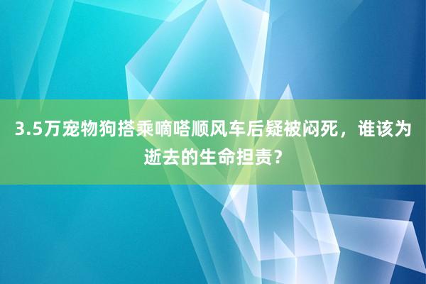 3.5万宠物狗搭乘嘀嗒顺风车后疑被闷死，谁该为逝去的生命担责？