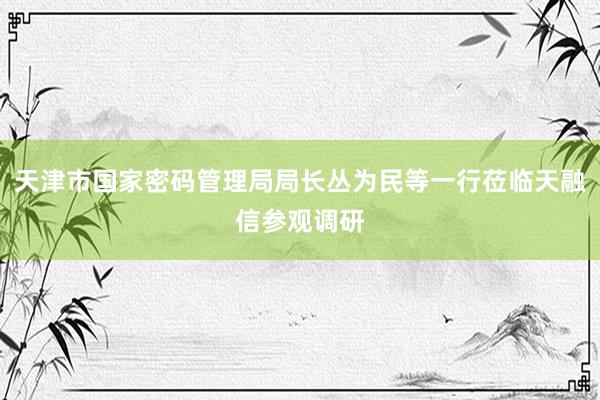 天津市国家密码管理局局长丛为民等一行莅临天融信参观调研