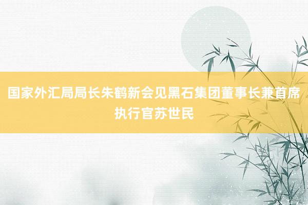 国家外汇局局长朱鹤新会见黑石集团董事长兼首席执行官苏世民