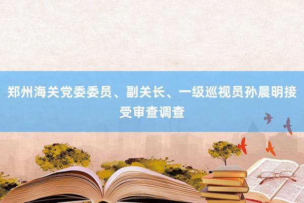 郑州海关党委委员、副关长、一级巡视员孙晨明接受审查调查