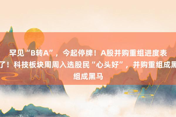 罕见“B转A”，今起停牌！A股并购重组进度表来了！科技板块周周入选股民“心头好”，并购重组成黑马