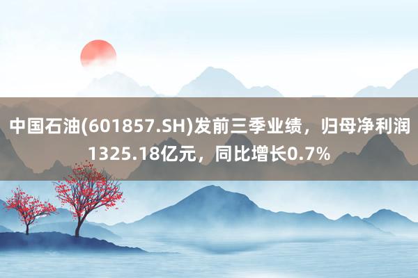 中国石油(601857.SH)发前三季业绩，归母净利润1325.18亿元，同比增长0.7%