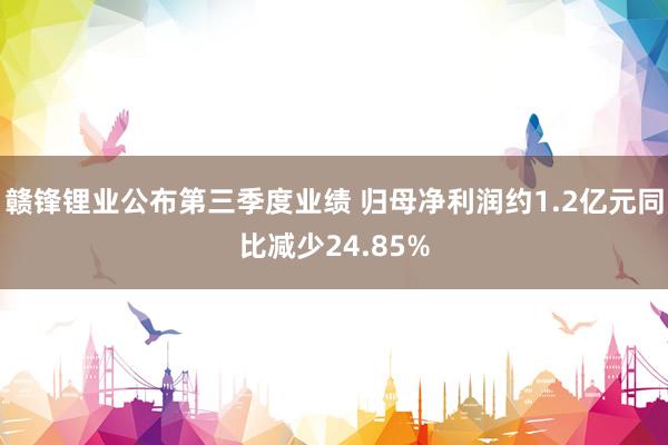 赣锋锂业公布第三季度业绩 归母净利润约1.2亿元同比减少24.85%