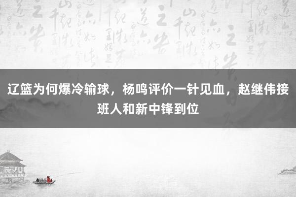 辽篮为何爆冷输球，杨鸣评价一针见血，赵继伟接班人和新中锋到位