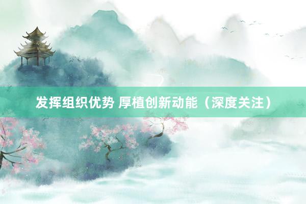 发挥组织优势 厚植创新动能（深度关注）