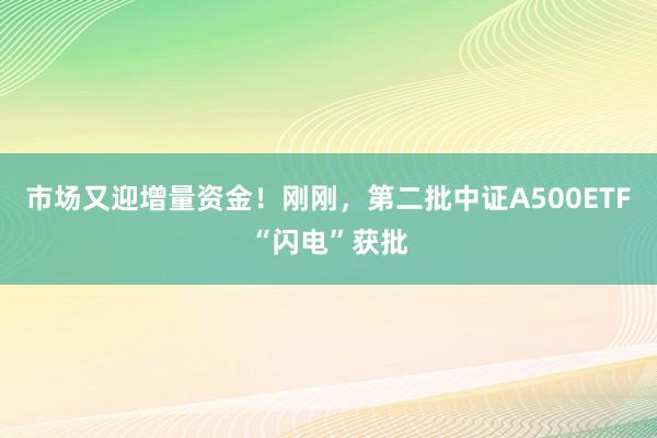 市场又迎增量资金！刚刚，第二批中证A500ETF“闪电”获批