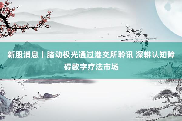 新股消息丨脑动极光通过港交所聆讯 深耕认知障碍数字疗法市场