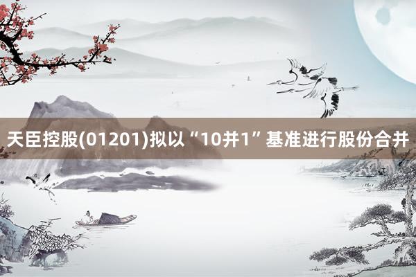 天臣控股(01201)拟以“10并1”基准进行股份合并