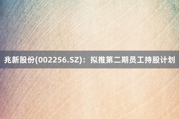 兆新股份(002256.SZ)：拟推第二期员工持股计划