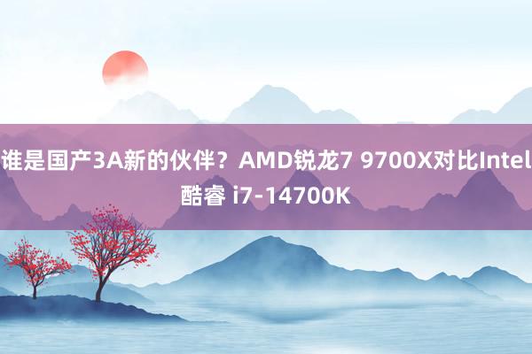 谁是国产3A新的伙伴？AMD锐龙7 9700X对比Intel酷睿 i7-14700K