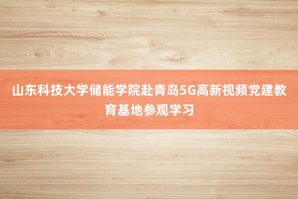 山东科技大学储能学院赴青岛5G高新视频党建教育基地参观学习