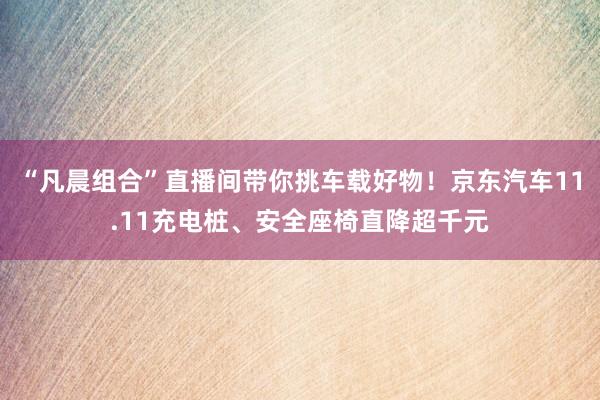 “凡晨组合”直播间带你挑车载好物！京东汽车11.11充电桩、安全座椅直降超千元