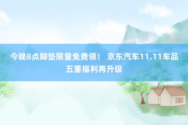 今晚8点脚垫限量免费领！ 京东汽车11.11车品五重福利再升级