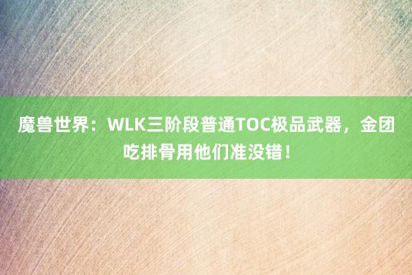 魔兽世界：WLK三阶段普通TOC极品武器，金团吃排骨用他们准没错！