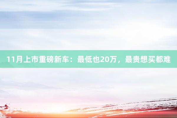 11月上市重磅新车：最低也20万，最贵想买都难