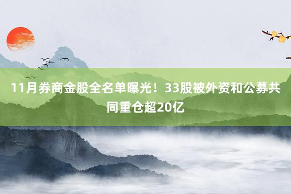 11月券商金股全名单曝光！33股被外资和公募共同重仓超20亿