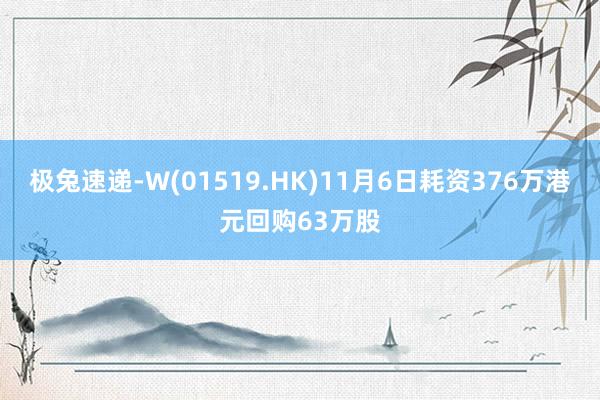 极兔速递-W(01519.HK)11月6日耗资376万港元回购63万股