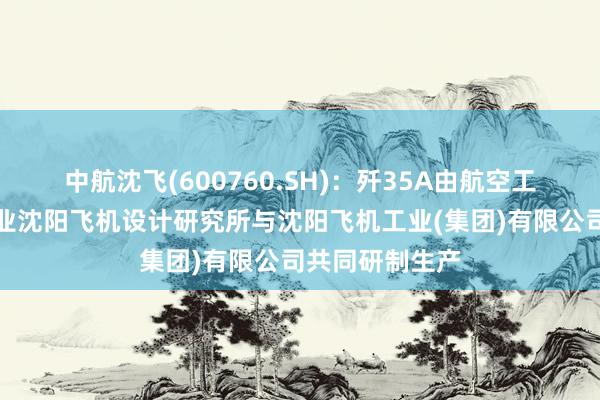 中航沈飞(600760.SH)：歼35A由航空工业集团下属企业沈阳飞机设计研究所与沈阳飞机工业(集团)有限公司共同研制生产