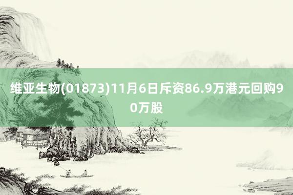 维亚生物(01873)11月6日斥资86.9万港元回购90万股